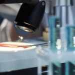 Close-up of veterinarian analyzing blood samples under a microscope.