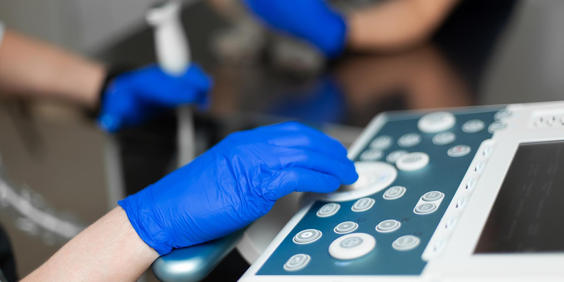 A veterinarian does an ultrasound of a dog in the office. Doctor's hand on an ultrasound. machine close-up.